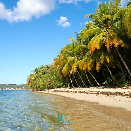 Kawan Nid - Tout Confort, Plage A 2 Min A Pied, Piscine, Wifi, Climatisation Grand-Bourg  Экстерьер фото